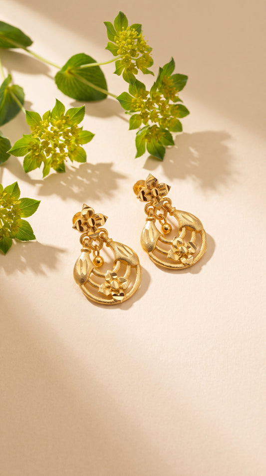 Circle Frame Drop Earrings